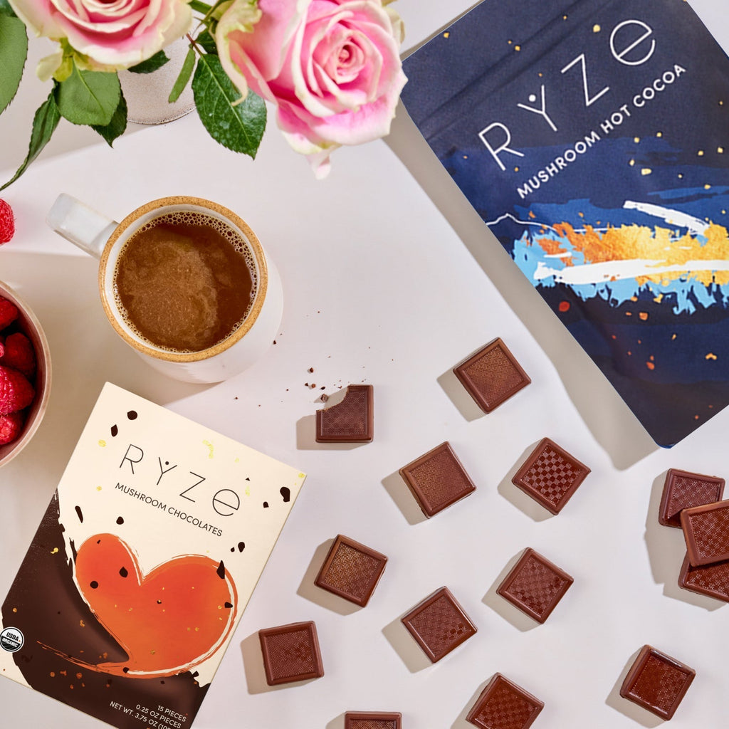 Chocolate Indulgence Bundle A8 Bo