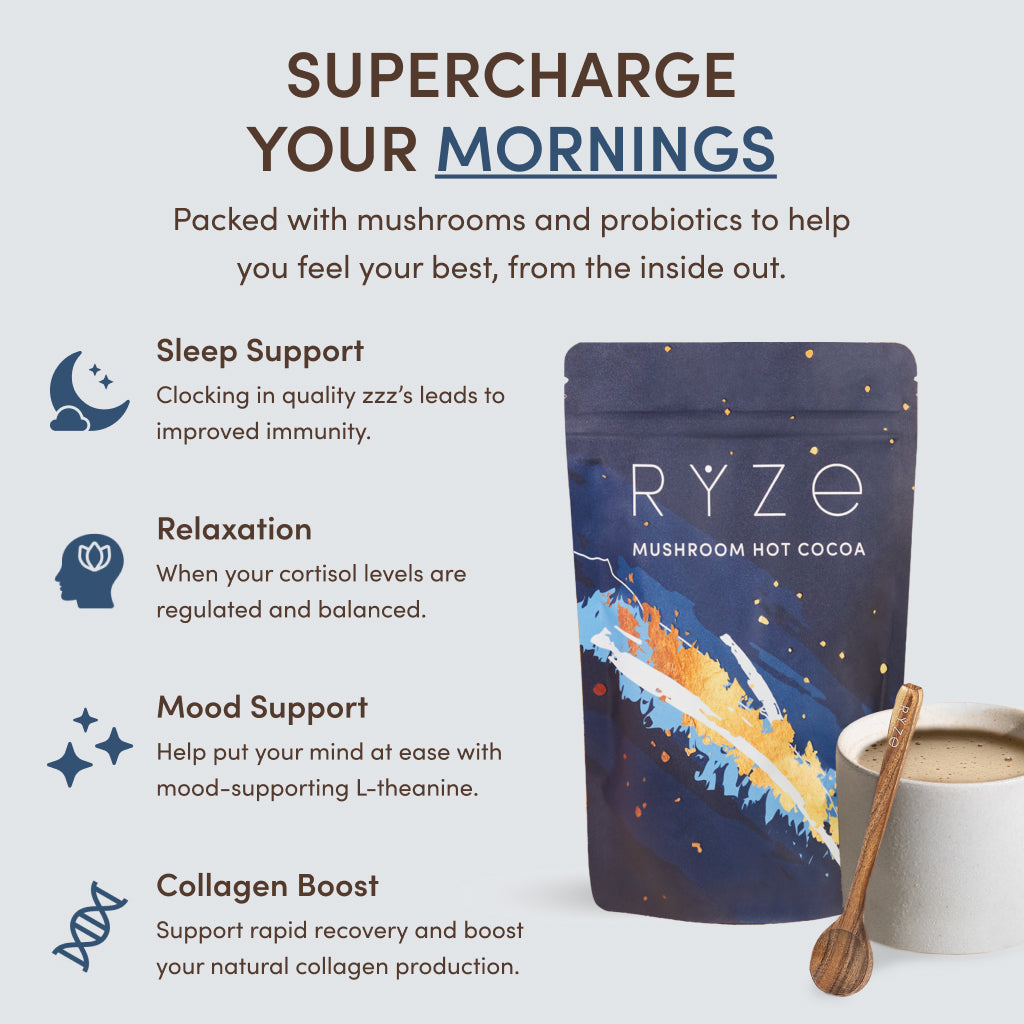 Nighttime Mushroom Cocoa Starter Bag R8 kd