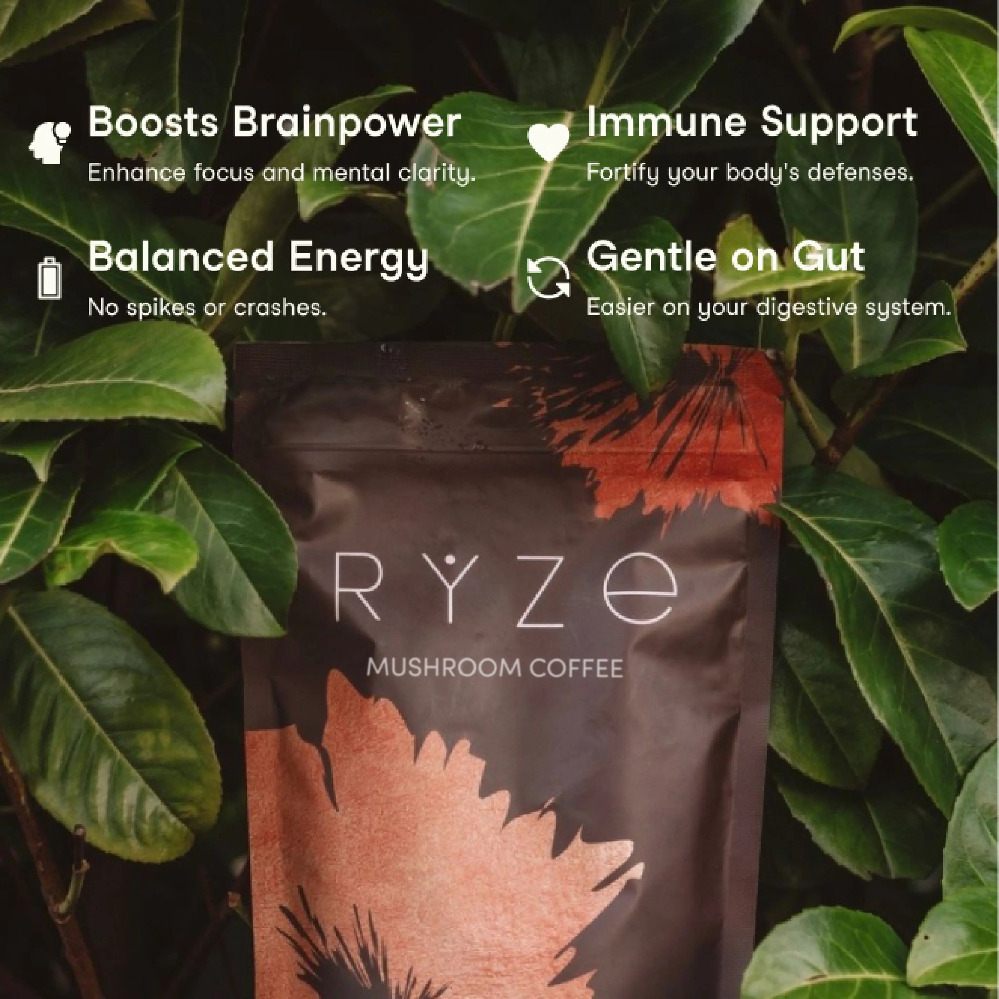 Mushroom Coffee — Organic Instant Coffee with Cordyceps & Reishi, 30 Servings G5 m8