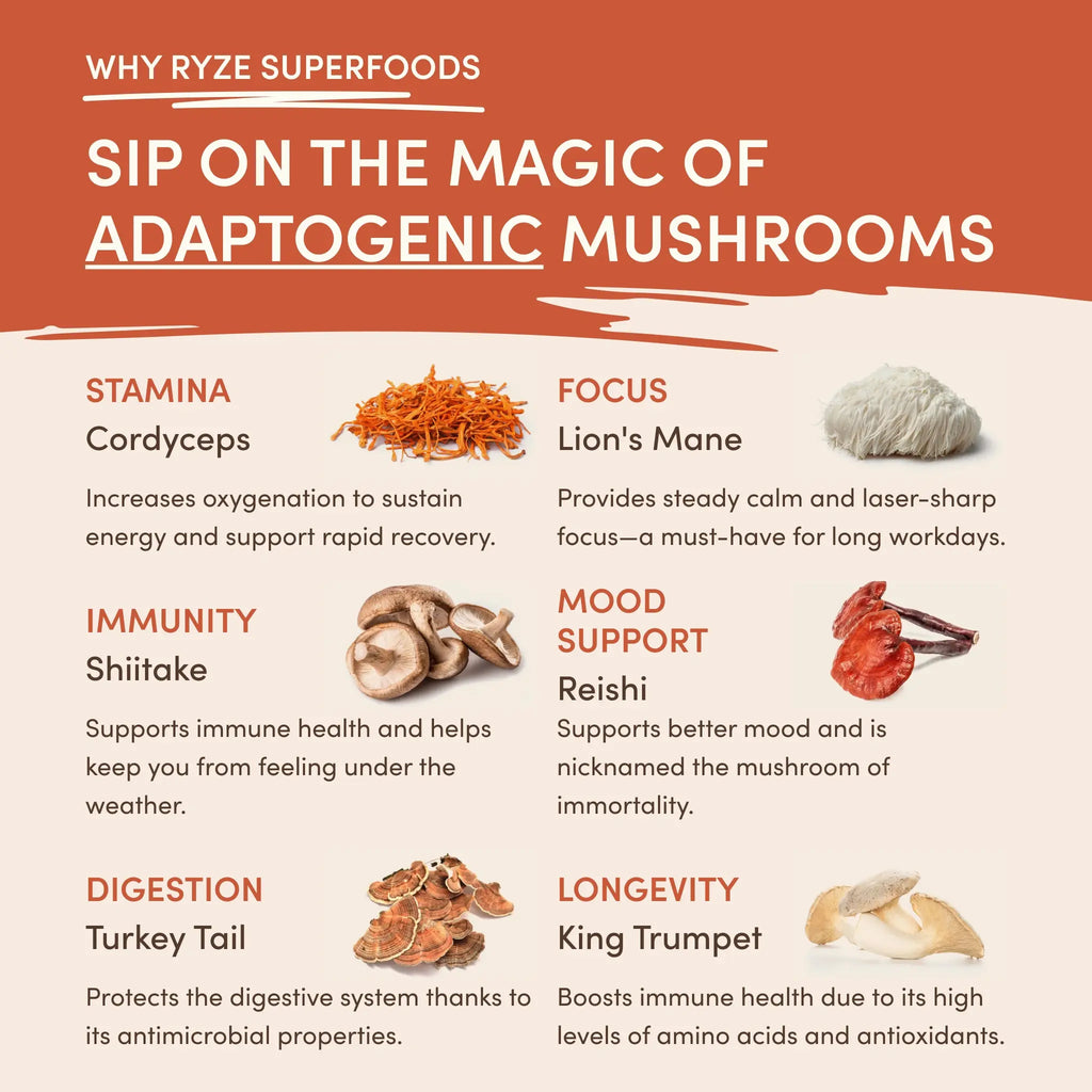 Mushroom Coffee — Organic Instant Coffee with Cordyceps & Reishi, 30 Servings G5 m8