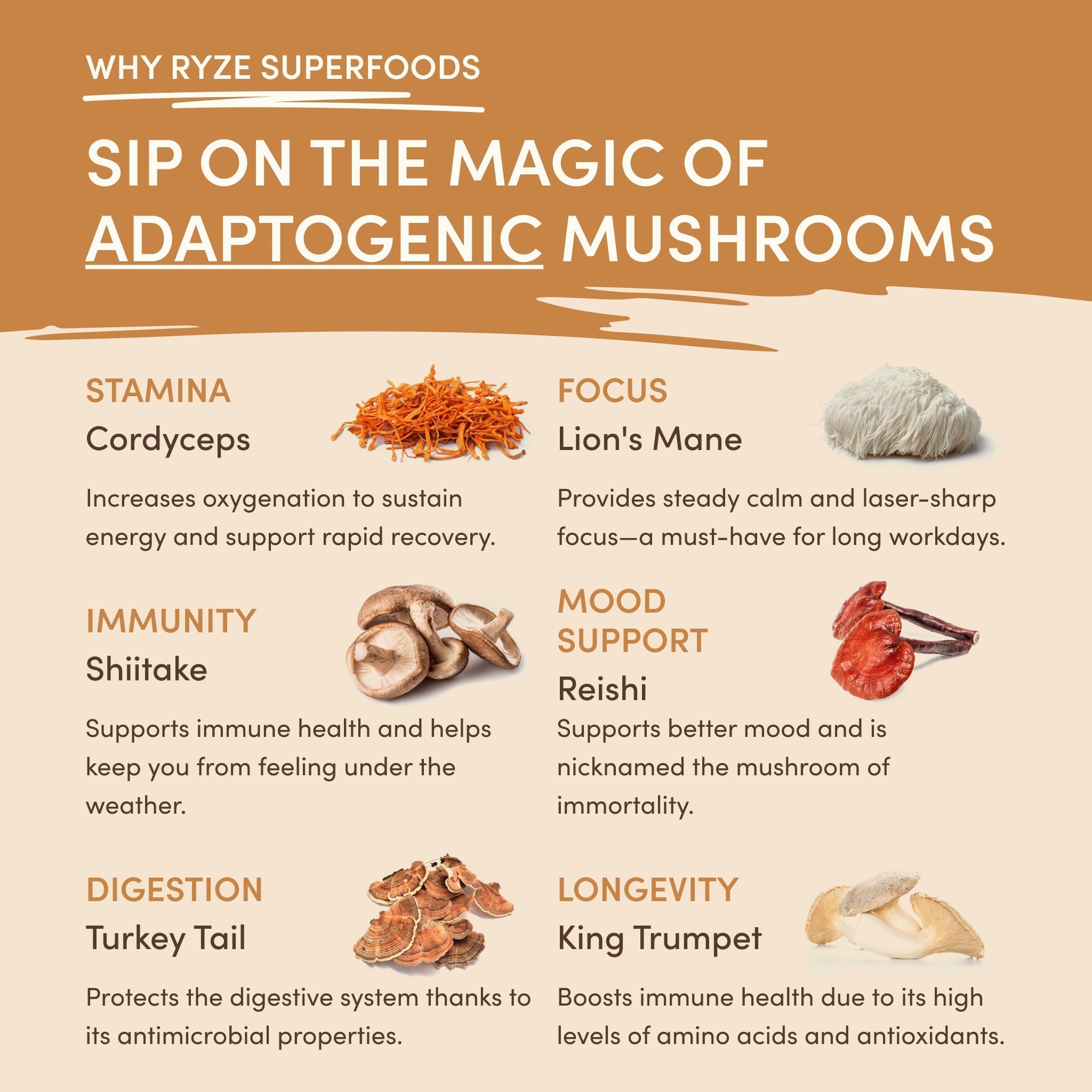 Mushroom Overnight Oats (14 Servings) N8 0A
