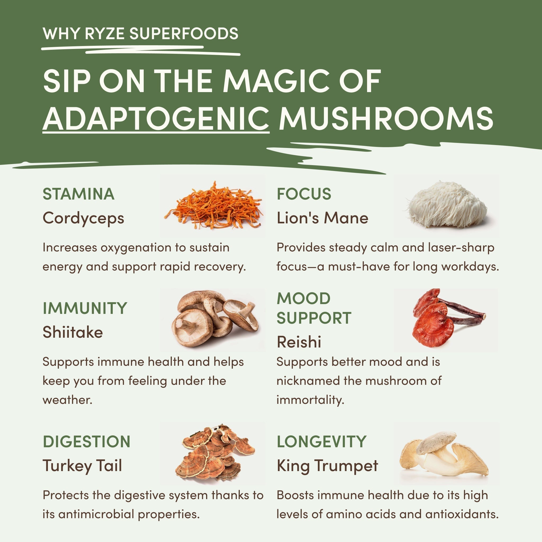 Mushroom Matcha — Organic Instant Matcha Latte with Lion's Mane & King Trumpet, 30 Servings B7 s6