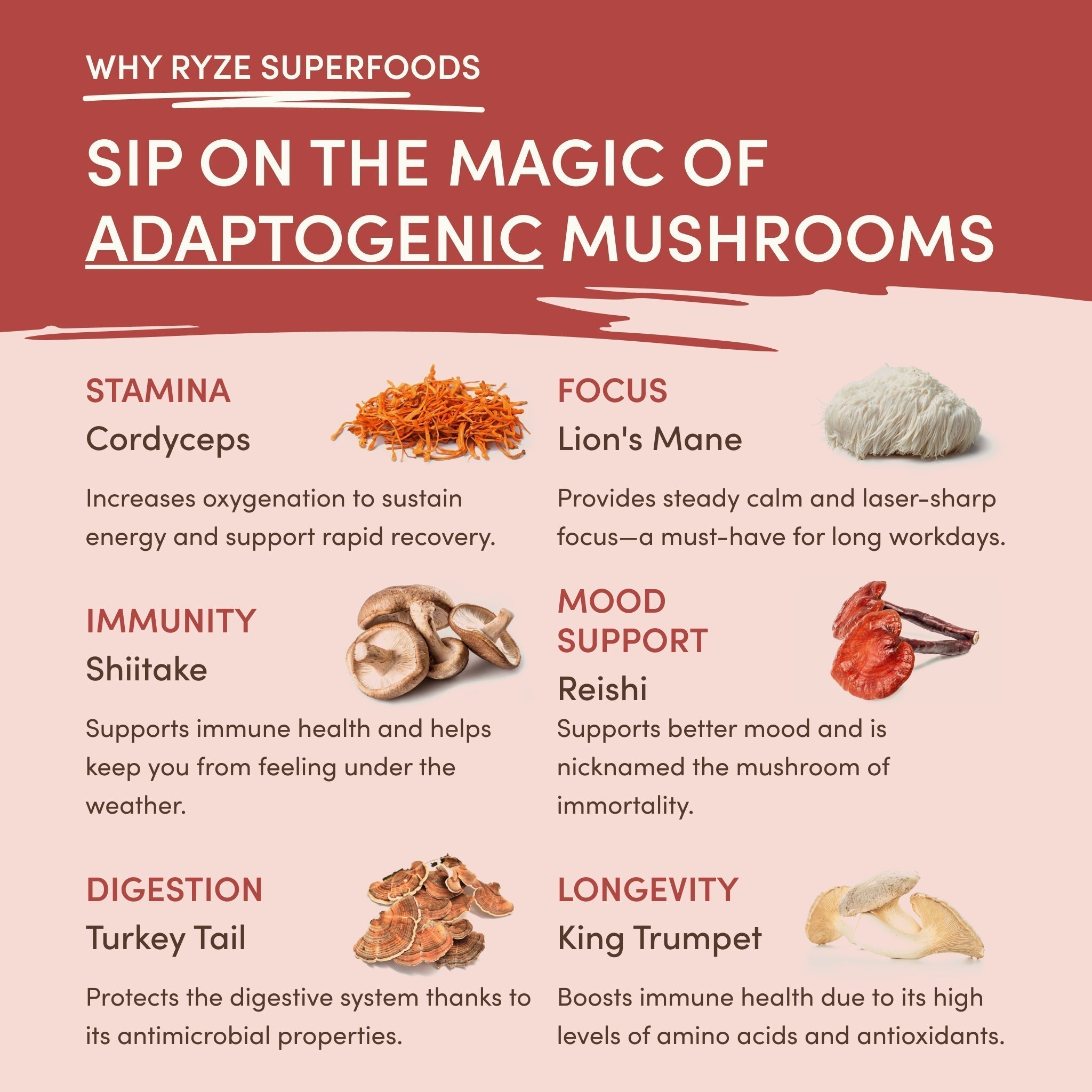 Mushroom Chai — Organic Instant Chai with Reishi & Organic Black Tea, 20 Servings S1 AW