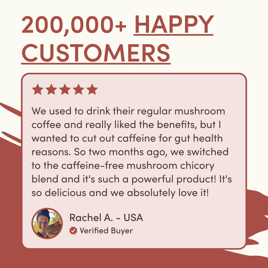 Mushroom Chicory — Organic Instant Chicory with Shitake & Lions mane, 30 Servings W2 ys