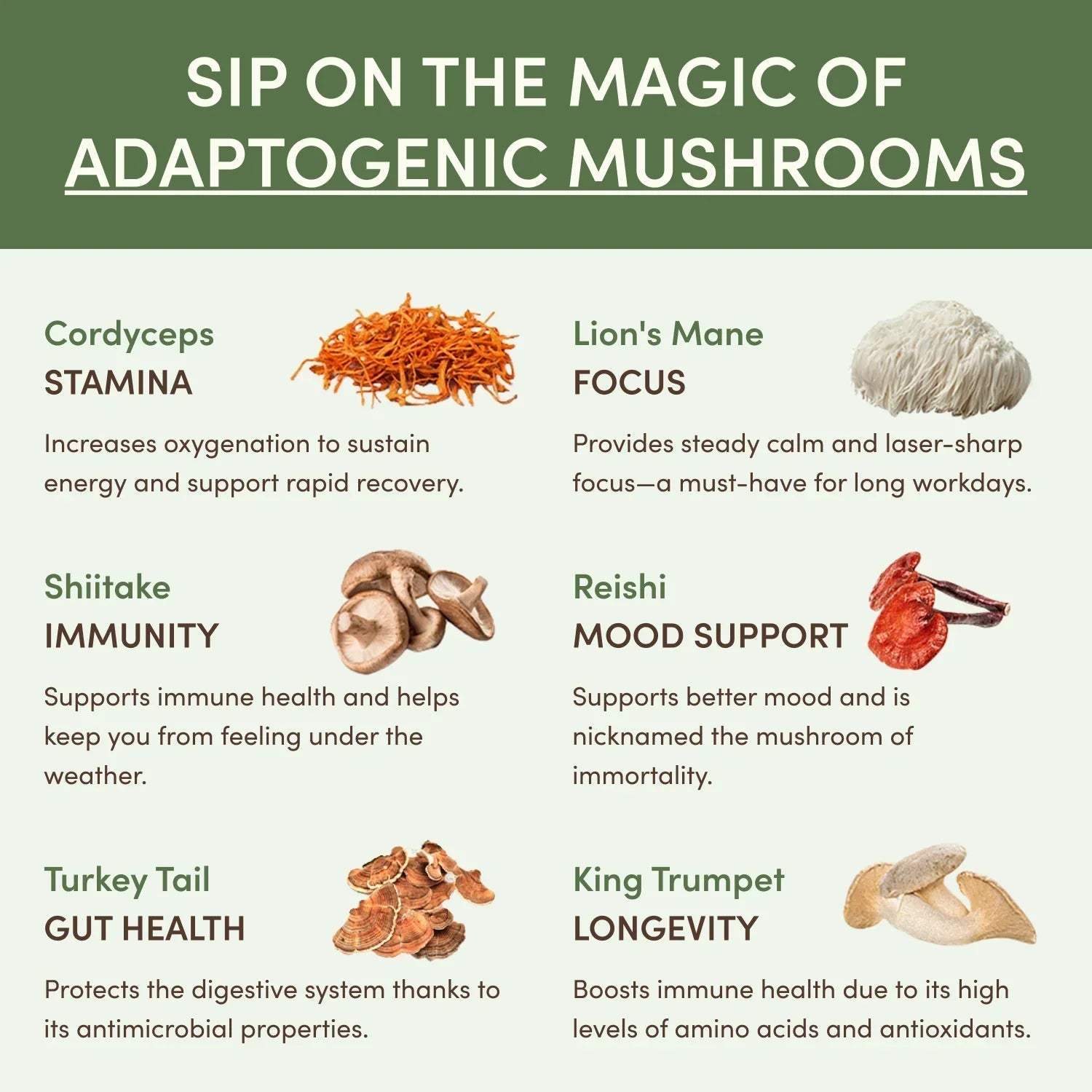 Mushroom Matcha (30 Servings) O5 kS