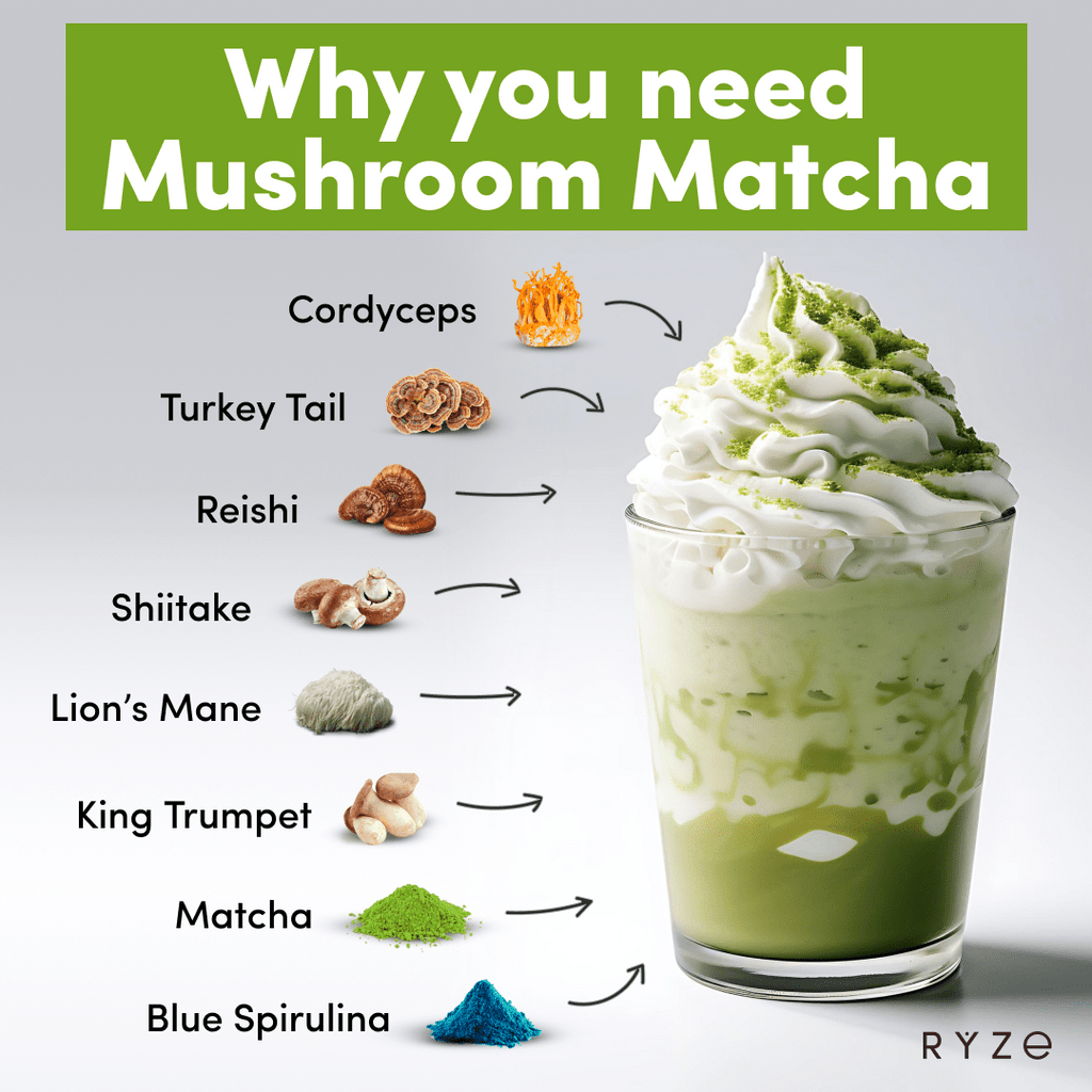 Mushroom Matcha - with 6 Organic Adaptogenic Mushrooms Grown In USA and Ceremonial-Grade Japanese Matcha K1 ED