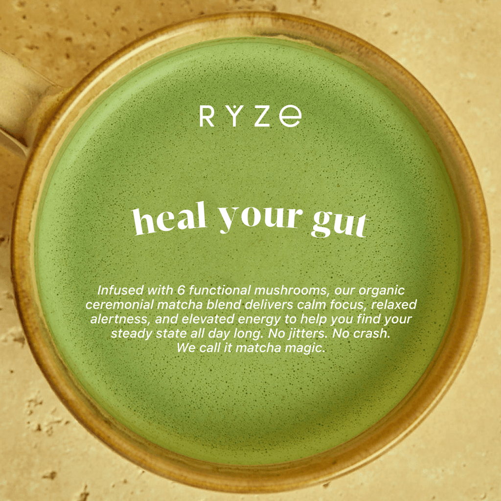 Mushroom Matcha - with 6 Organic Adaptogenic Mushrooms Grown In USA and Ceremonial-Grade Japanese Matcha K1 ED
