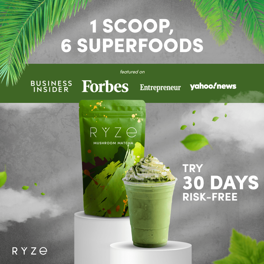 Mushroom Matcha - with 6 Organic Adaptogenic Mushrooms Grown In USA and Ceremonial-Grade Japanese Matcha K1 ED