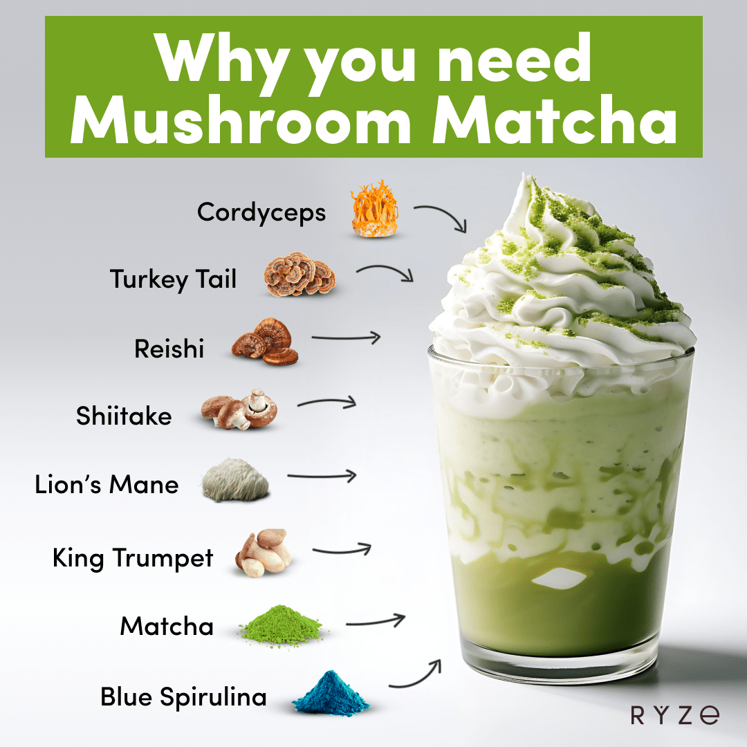 Organic Mushroom Matcha Starter Kit (60 servings) I4 IG