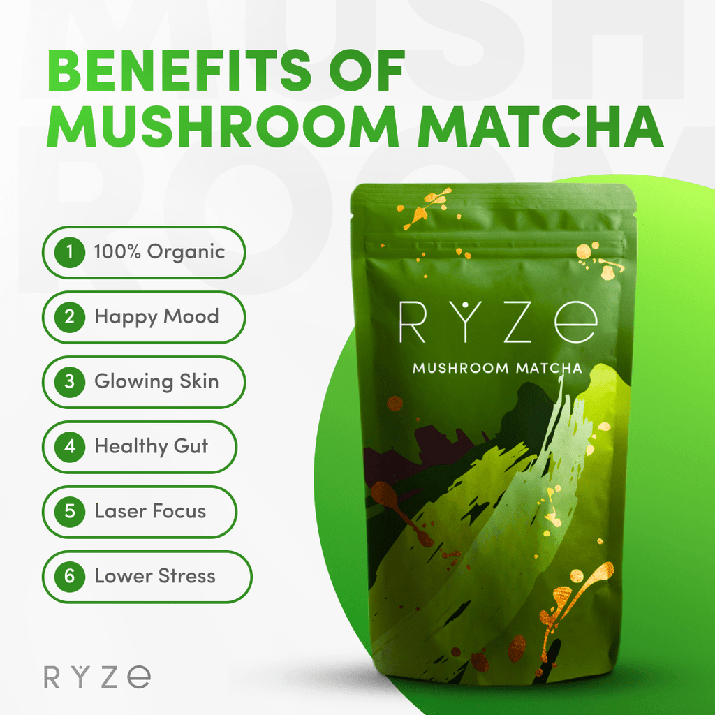Organic Mushroom Matcha Starter Kit (60 servings) I4 IG